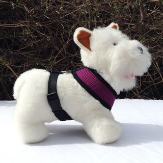 Soft Pet Harness M