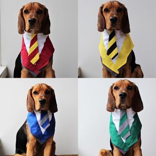 Suit & Tie Bandana