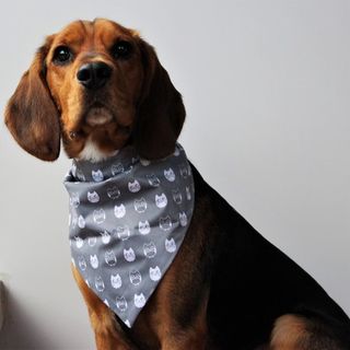 Owl Bandana Scarf