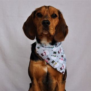 Snowman Bandana