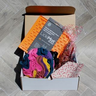 Dog Enrichment Gift Pack