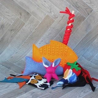 Cat Gift Pack