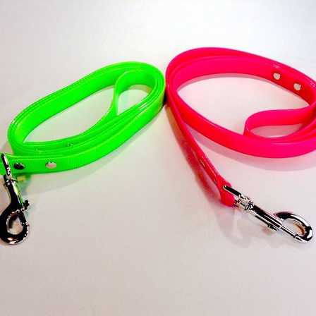 Neon Dog Leash - Shop dog collars, dog 