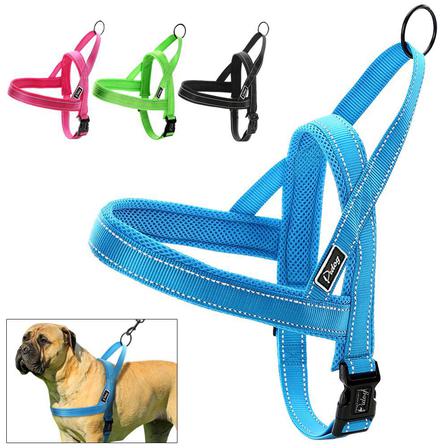 Glow Castle Dog Harness