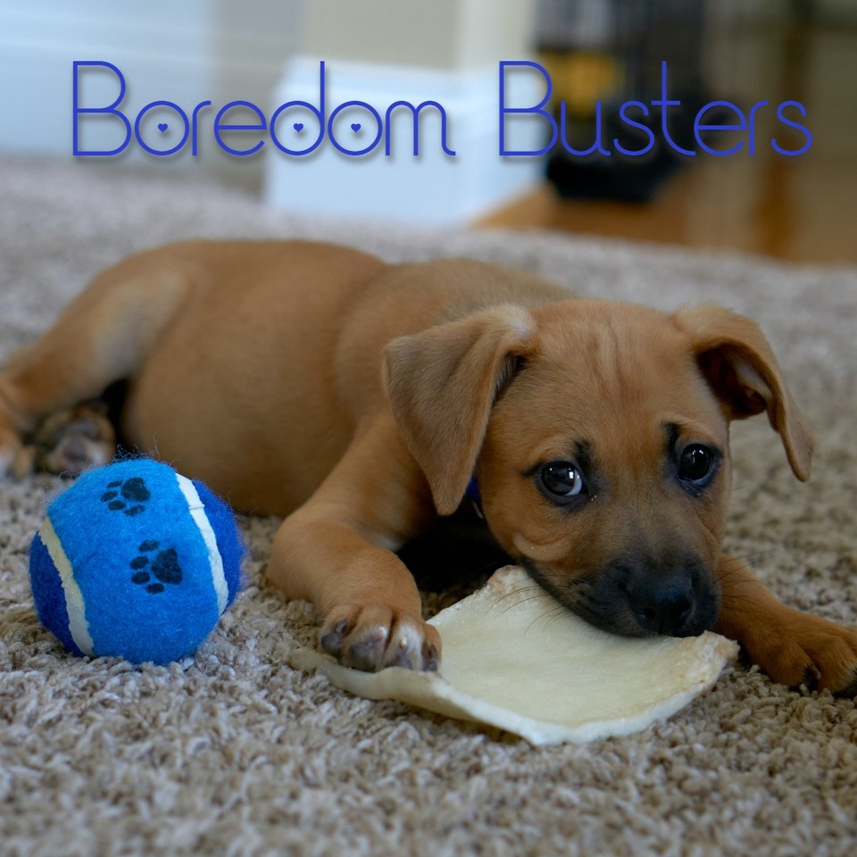 Boredom Busters