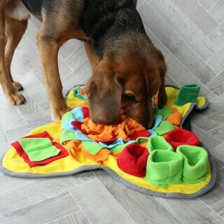 Dog with snuffle mat