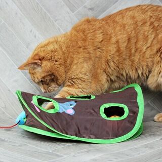 Catcha Mouse Toy