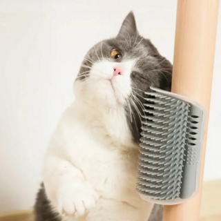 Mounted Brush