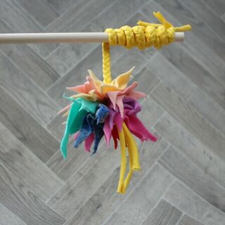Pom-Pom Chaser