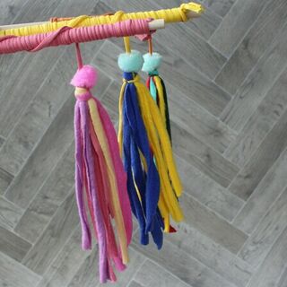 Tassel Chaser